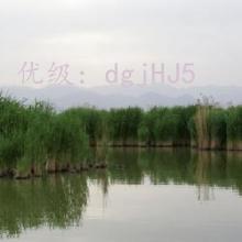 Ǳ