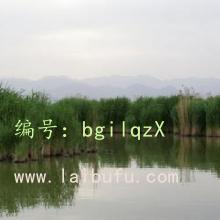 ʵ